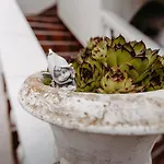公寓 Nadica Sabunike *